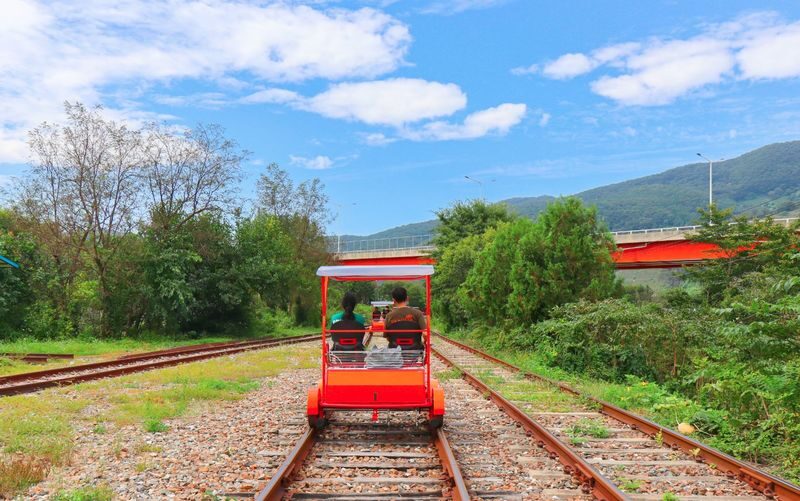 Nami Island Tour from Seoul: Alpaca, Rail Bike, Morning Calm Garden - Add alpacas for an animal encounter