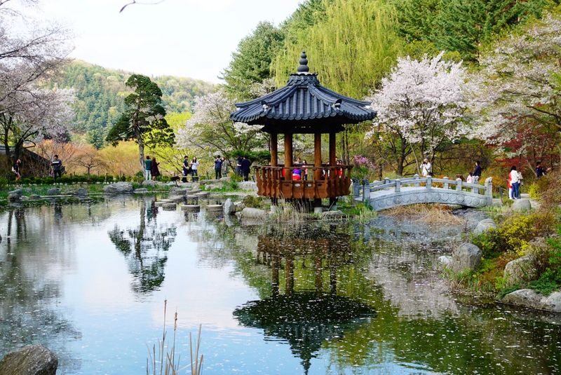 Nami Island Tour from Seoul: Alpaca, Rail Bike, Morning Calm Garden - The rail bike adds a hands-on stop