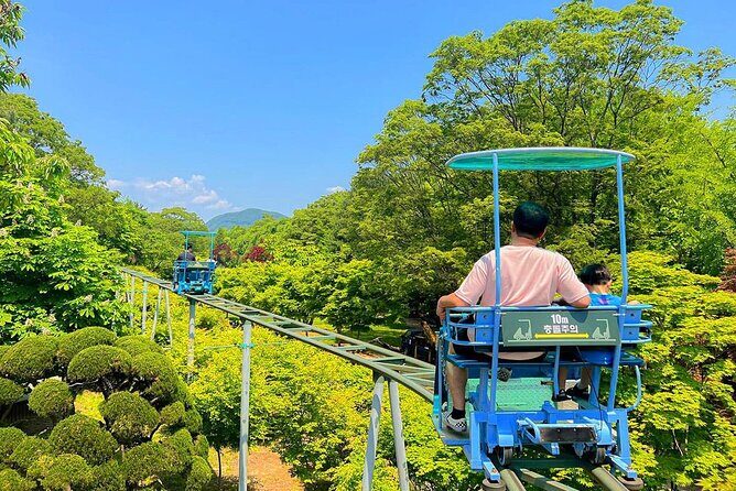 Nami Island with The Garden of Morning Calm Rail Bike from Seoul - A Detailed Exploration of the Itinerary