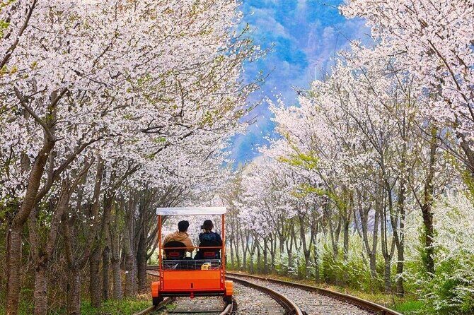 Nami, Petite France, Italian Village and Gangchon Rail Bike Tour - FAQ About the Tour