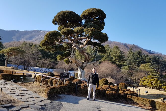 Nami, Petite France, Morning Calm, Seorak Private 2-Day Tour  - Seoul - Hotel Pick up and Drop off in Seoul
