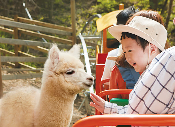 Nami, Samaksan,Strawberry Picking, Eobi Ice Valley From Seoul - Herb Island as the final stop