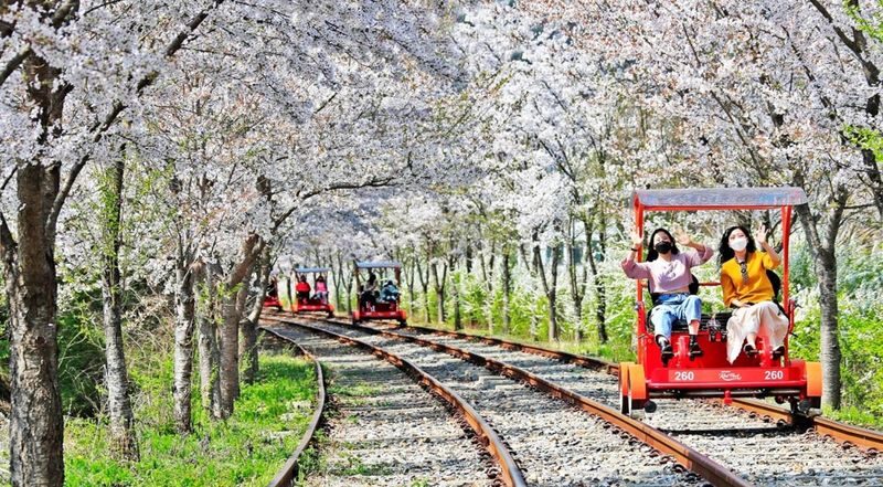 Nami, Samaksan,Strawberry Picking, Eobi Ice Valley From Seoul - Price and what is included