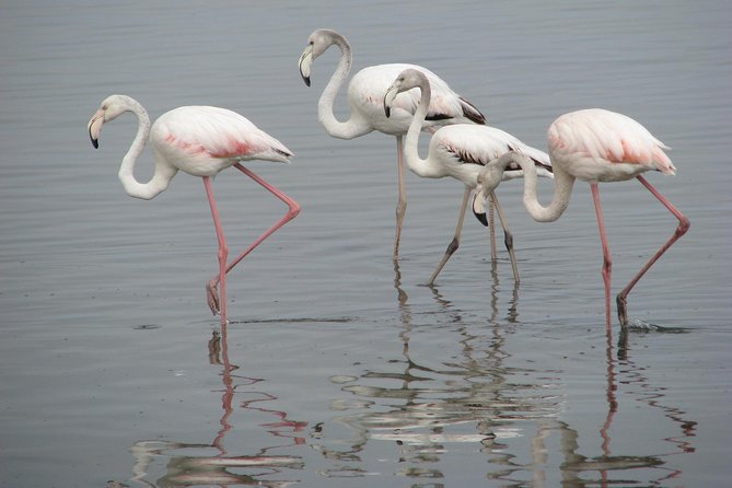 Namibia Adventure Safari in Africa - Inclusions and Amenities