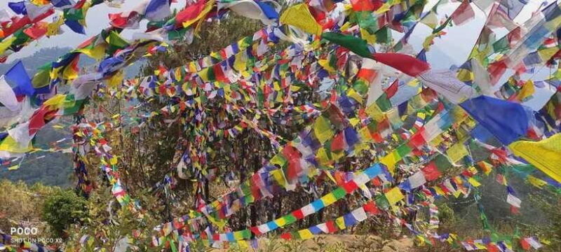 Namo Buddha and Thrangu Tashi Yangtse Monastery Tour - The Sum Up