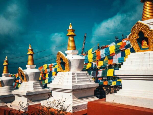 Namobuddha Monastery and Sanga Shiva Statue Day Tour - Tour Inclusions