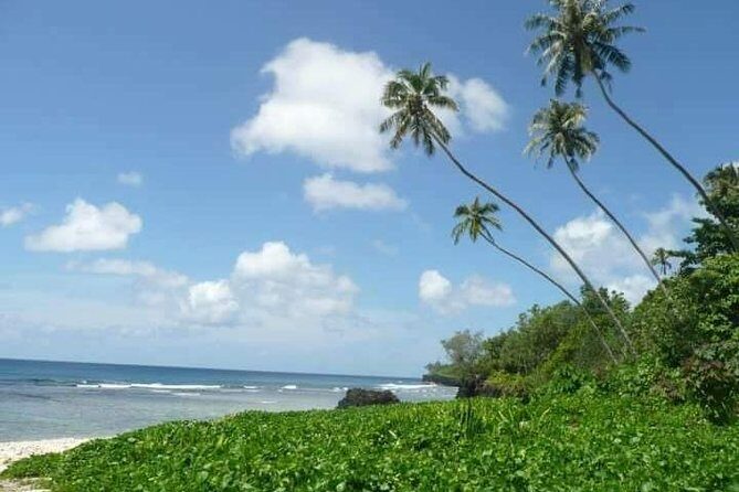 Namua Turtle Island and Eastern Upolu Tour - Why This Tour Offers Great Value