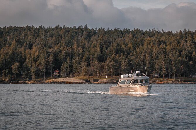 Nanaimo Private Whale Watching - Nanaimo Private Whale Watching: A Detailed Look at the Ultimate Marine Adventure