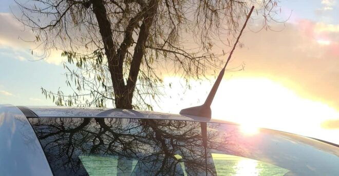 Nanaimo to Campbell River: Private Car Transfer - Experience Highlights