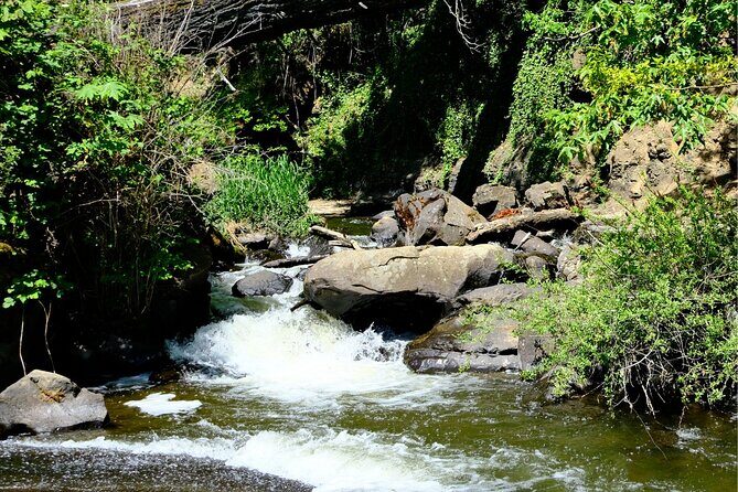 Nanaimo Urban Oasis Trail Walking Tour - The Sum Up