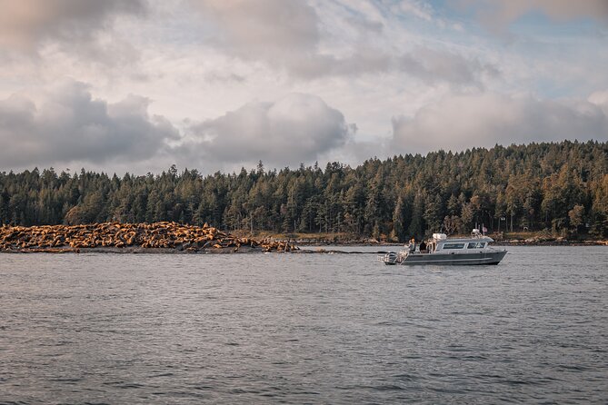 Nanaimo Whale Watching in a Semi-Covered Boat - Additional Information