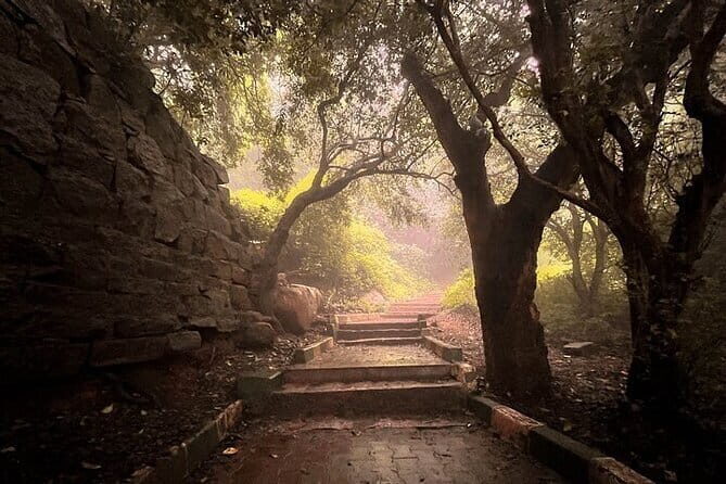 Nandi Trail Tour - What the Nandi Trail Tour Offers