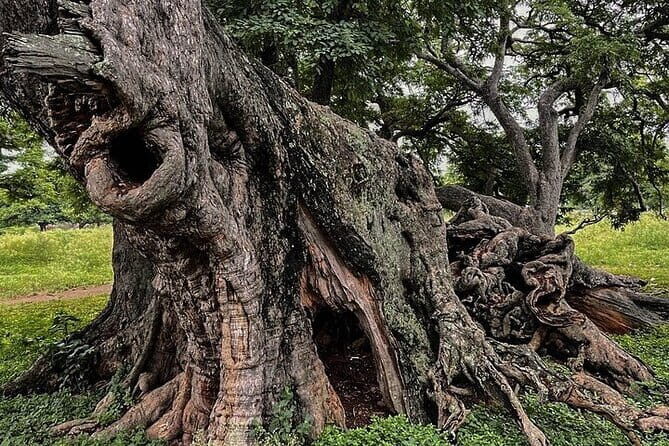 Nandi Trail Tour - Exploring the Itinerary in Detail