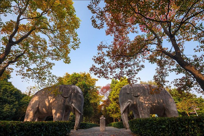 Nanjing Day Tour From Shanghai by Bullet Train - Meeting and Pickup Details