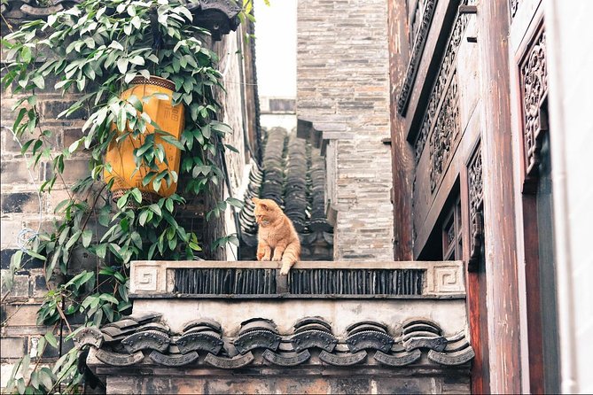 Nanjing Day Tour From Shanghai by Bullet Train - Customer Review and Feedback