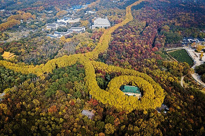 Nanjing Flexible Private Day Tour from Wuxi by Bullet Train - Good To Know