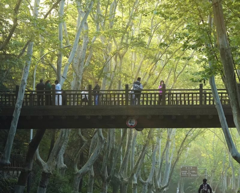 Nanjing Meiling Palace & Wutong Avenue Half-Day Tour - Two stops, one useful introduction to Nanjing
