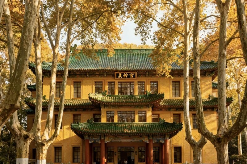 Nanjing Meiling Palace & Wutong Avenue Half-Day Tour - Is $27.35 good value?