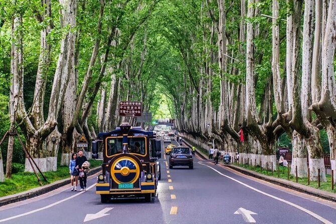 Nanjing One day Private Tour Republic of China Era Theme - Is This Tour Right for You?