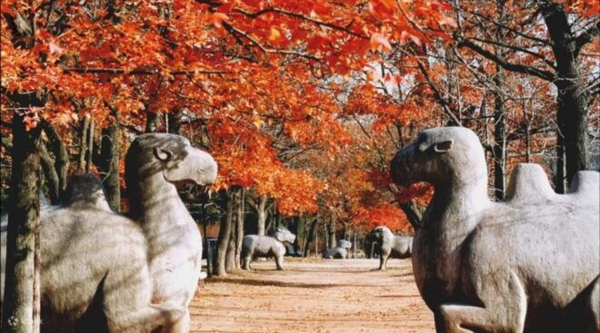 Nanjing: Private Customized City Highlights Tour With Lunch - Inclusions