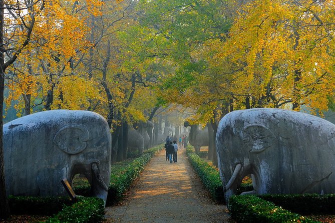 Nanjing Private English Tour Guide Service - Pricing Information