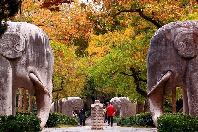 Nanjing Private Flexible Day Tour with Professional Guide and Driver Service - Value for Money