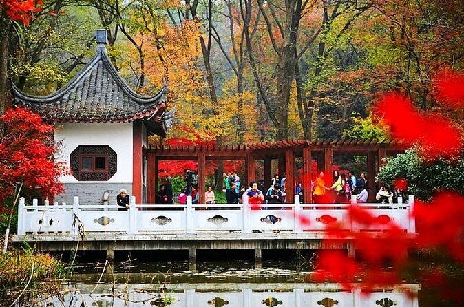 Nanjing Private Flexible Day Tour with Professional Guide and Driver Service - Who Is This Tour Best For?