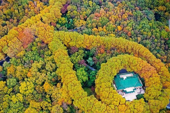 Nanjing Private Flexible Day Tour with Professional Guide and Driver Service - FAQ