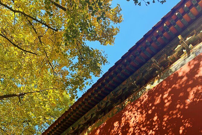 Nanjing Professional and Private Tour Guide Service - Why This Tour Offers Great Value