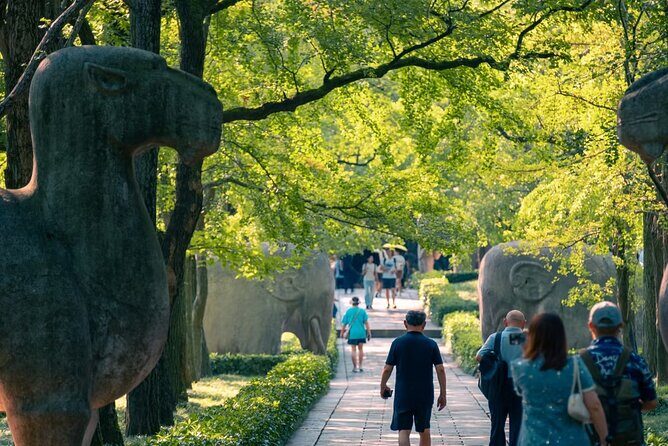 Nanjing Professional and Private Tour Guide Service - Final Thoughts