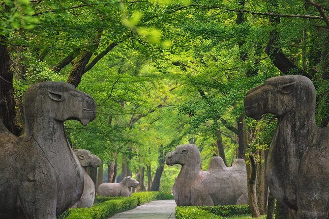 Nanjing Professional and Private Tour Guide Service - FAQ