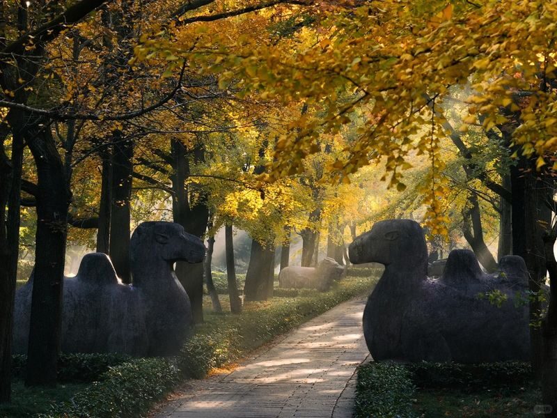 Nanjing Republic Era Day Tour - Practical details that can save you trouble
