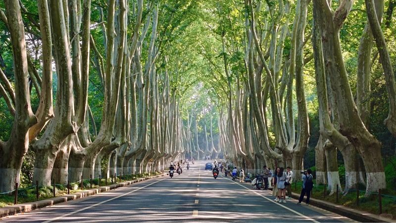 Nanjing Republic Era Day Tour - Should you book this Nanjing day tour?