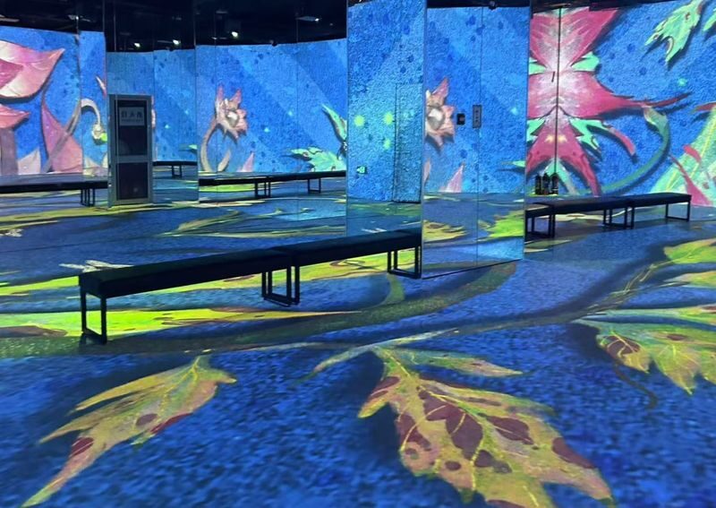 Nanjing Van Gogh Starry Sky Art Museum Ticket - Who is likely to enjoy this stop?