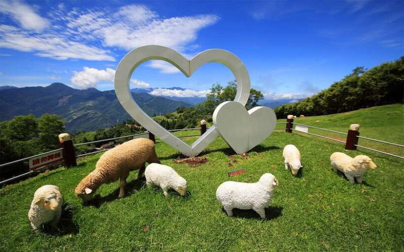 Nantou: Qingjing Farm Green Green Grassland Ticket & Combos - FAQ