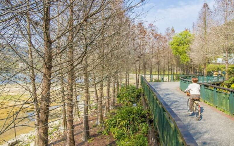 Nantou: Sun Moon Lake Combo - Discovering Sun Moon Lake: A Day of Scenic Excursions