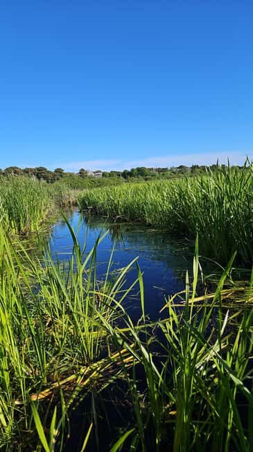 Nantucket: Historical Landmarks Sightseeing Bus Tour - Good To Know
