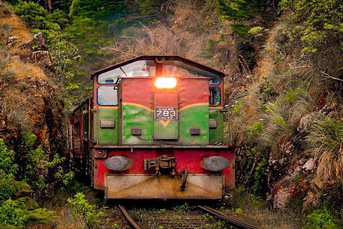Nanu Oya to Kandy Train Ride on (Train No: 1016 Udarata Menike) - Seat Options and Pricing