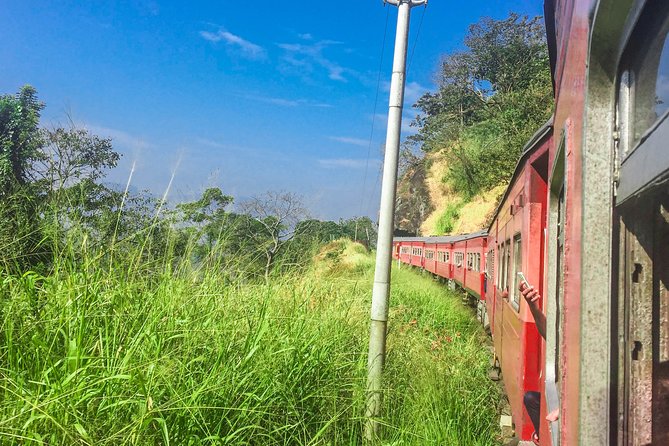 Nanu Oya to Kandy Train Ride on (Train No: 1016 Udarata Menike) - Meeting and Pickup Details