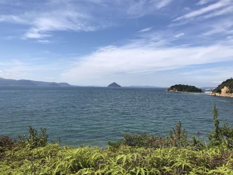 Naoshima Art Island One-Day Private Tour from Uno or Takamatsu - I Love Yu and the return crossing