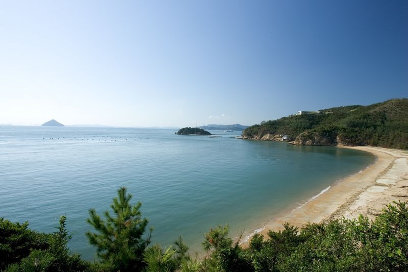 Naoshima Day Tour from Uno or Takamatsu with Cycling or Public Bus - What to know before you book