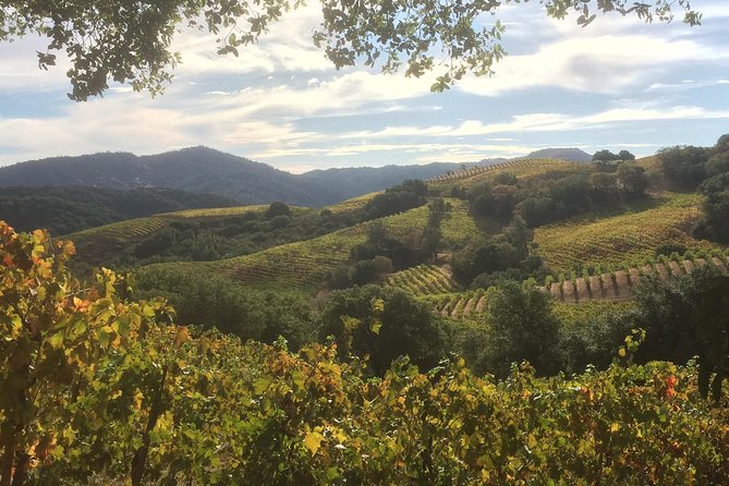 Napa and Sonoma Private Wine Tour  - Napa & Sonoma - Tour Availability