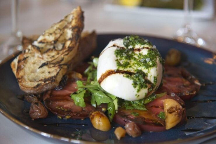 Napa: Gourmet Food and Wine Tour - Good To Know