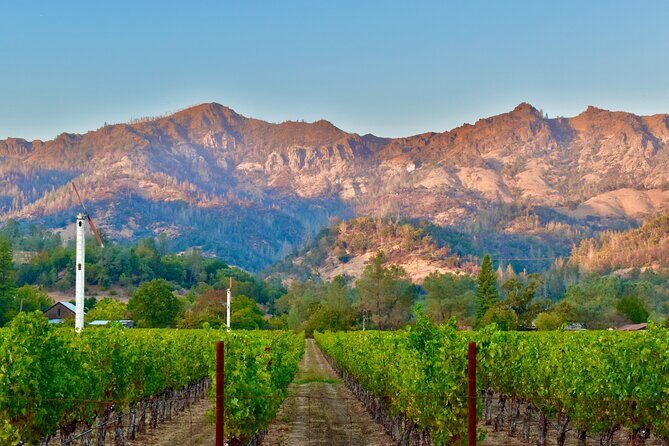 Napa Private 6-Hour Wine Adventure - Practical Details & Tips