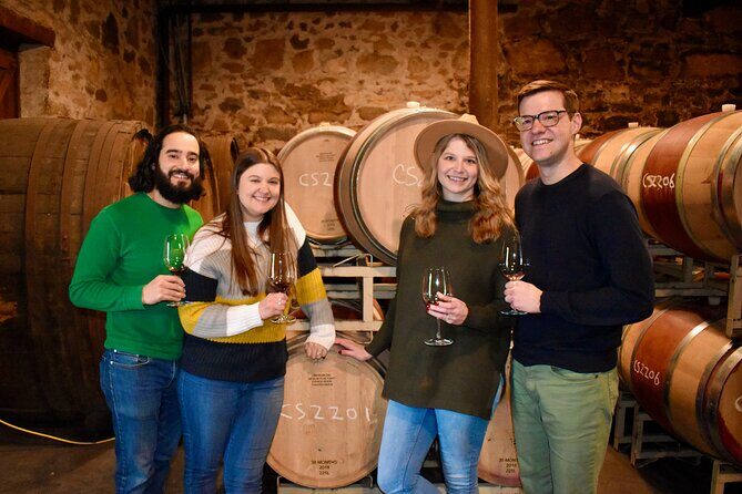 Napa Private 6-Hour Wine Adventure - Who Should Consider This Tour?