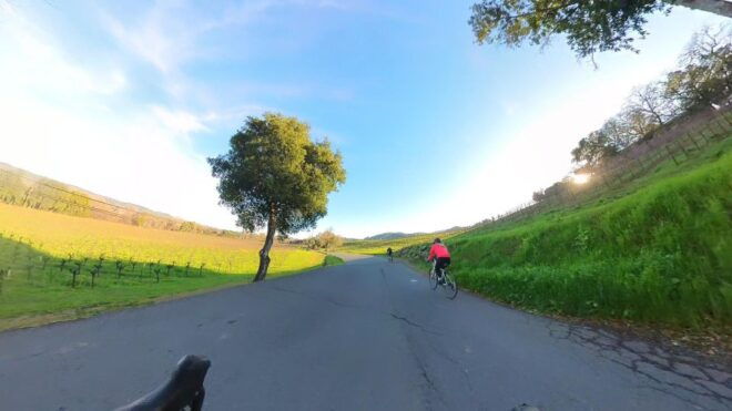 Napa/Sonoma: Guided Tour for Cycling Enthusiasts - Winery Visits