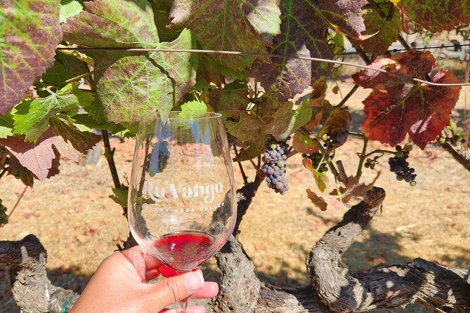 Napa & Sonoma Valley Tasting Experience to 3 Wineries - Common Questions