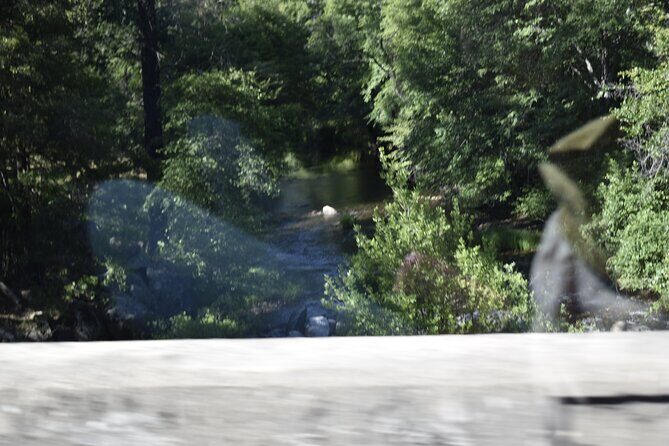 Napa & Sonoma Wine Tour Private Tours 8 to 10 Hours max 14 pax - FAQ