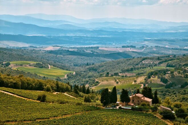 Napa Valley: Airplane Napa Valley Tour - Tour Details