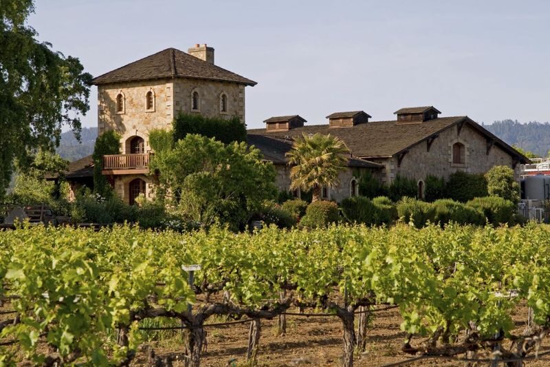 Napa Valley and Sonoma Full Day Wine Tour - Three wineries, with a changing lineup